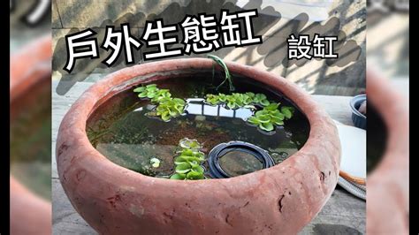 戶外養魚